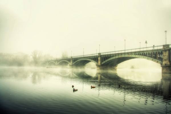 Photograph Solofoto Canon  Fog On The Bridge on One Eyeland
